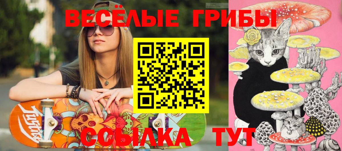 Галлюциногенные грибы GOLDEN TEACHER  Псилоцибиновые грибы Cubensis  Чернушка  Вход с VPN 